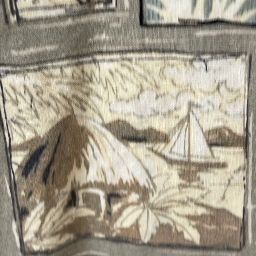 Cooke Street Honolulu Hawaiian Aloha button down shirt size Large - Picture 3 of 11